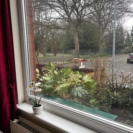 Bright And Cozy In Leeds Homestay *